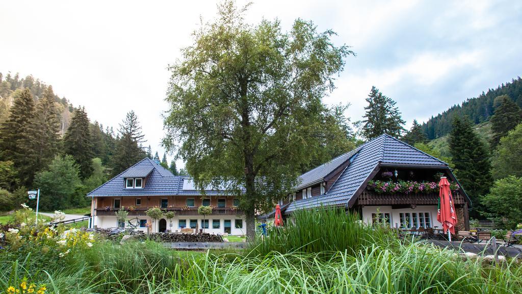 Apartmán Kuckucksnester Menzenschwand-Hinterdorf Exteriér fotografie